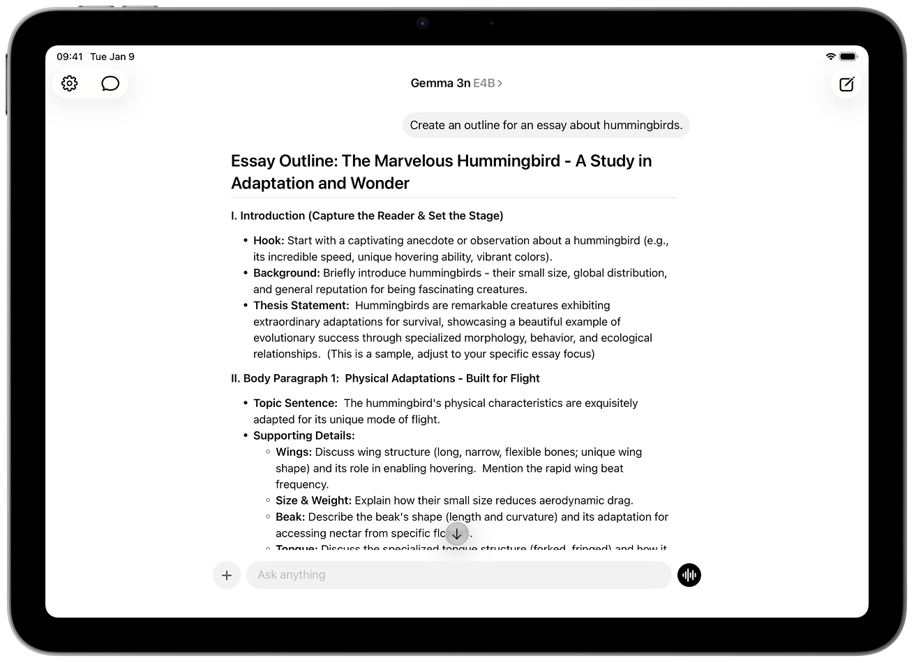 Locally AI App Features